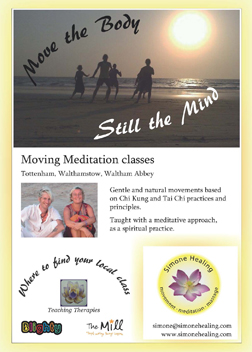 Front of the flyer for the Move the Body Still the Mind Moving Meditation classes